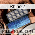 Rhino 7 34